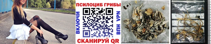 где можно купить наркотик  Усть-Катав  Псилоцибиновые грибы Psilocybe 